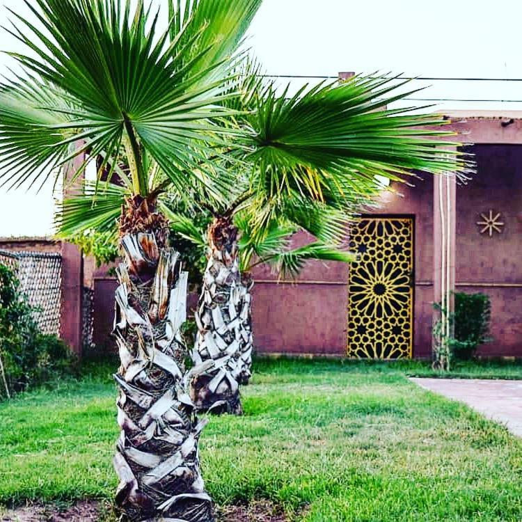Riad Darga Rouge Ouled Bouzid Bagian luar foto